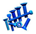 Factory Team blue screws